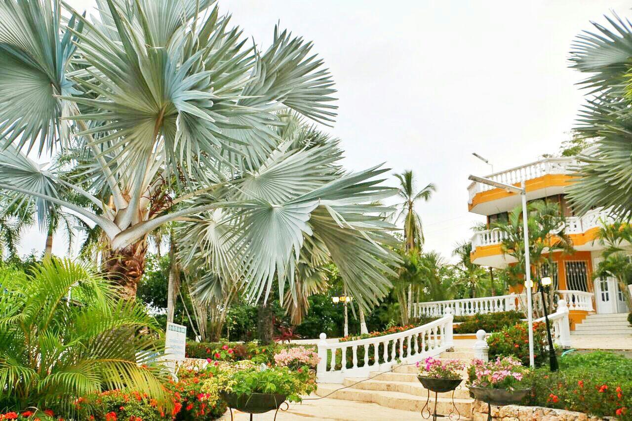 Eco Hotel Villa Martha Turbaco Kültér fotó